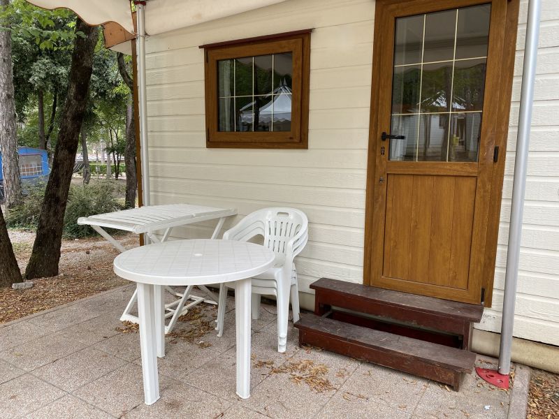 Siding Replacement detail