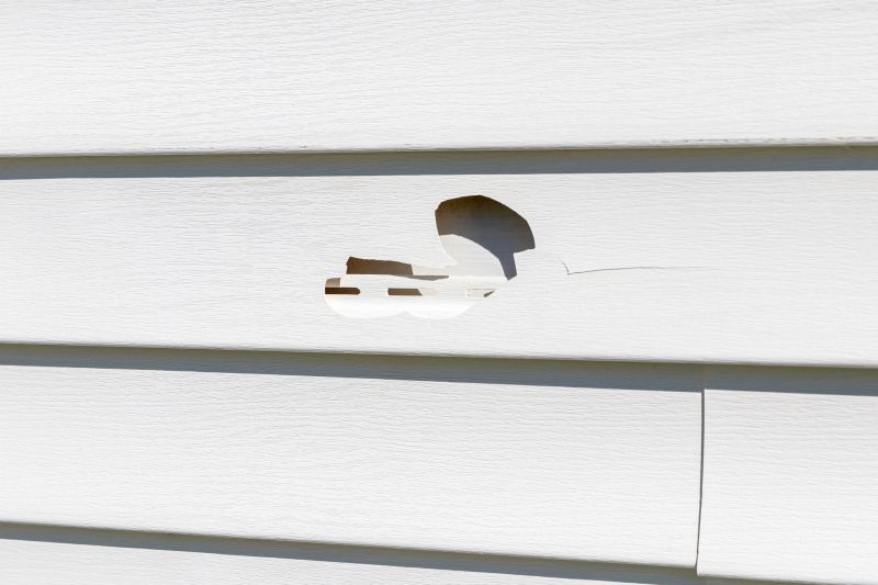 Expert Vinyl Siding Repair